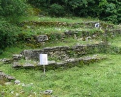 vitsa