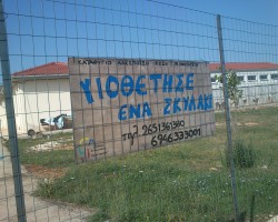 KATAFYGIO