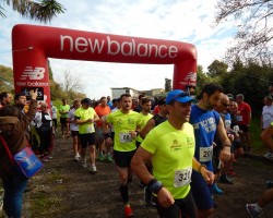 ARTA AGONAS GOFIRIOY