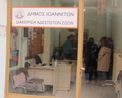 Γραφείο Αδεσποτων