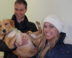 υιοθεσία ΖΟΟΝ