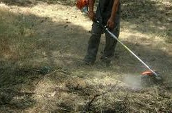 KATHARISMA OIKOPEDON 2015