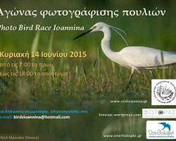 Ioannina photo bird race2015