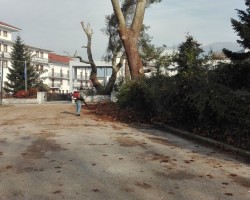 Λιθαρίτσια καθαριοτητα-3
