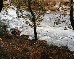 kalamas