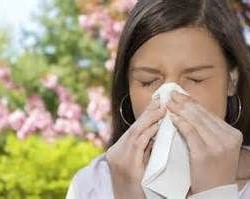 allerg
