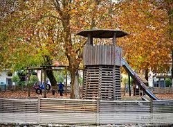 paidikh